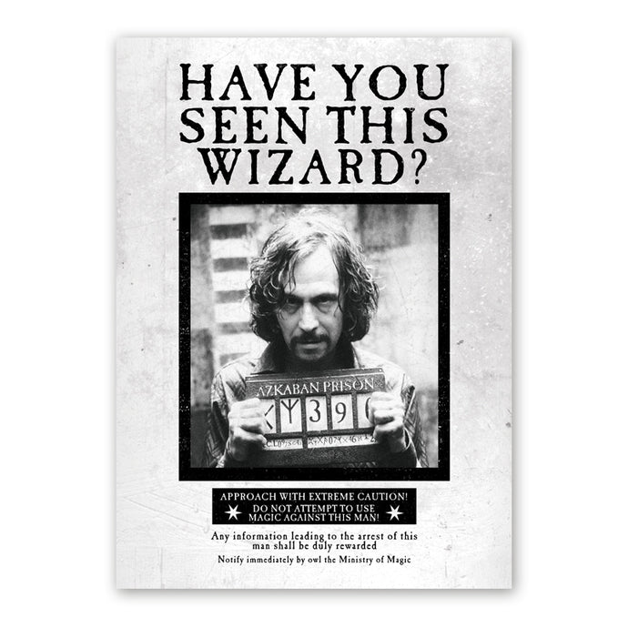 Mina Lima Have You Seen This Wizard? Poster