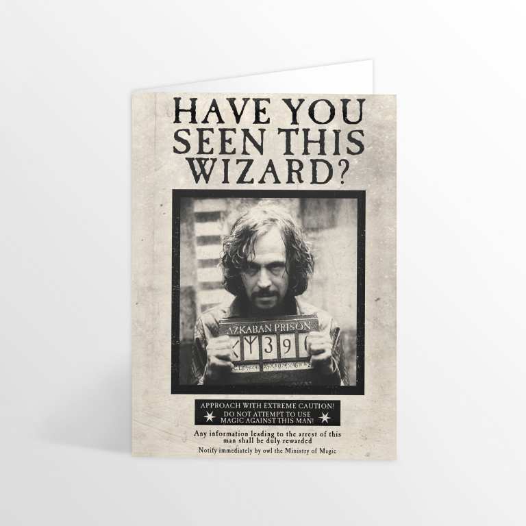 MinaLima Have you Seen this Wizard? Lenticular Card
